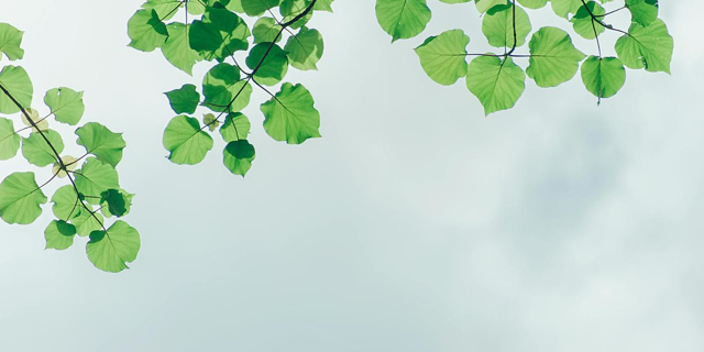 Blinkfyrar minskar koldioxidutsläpp